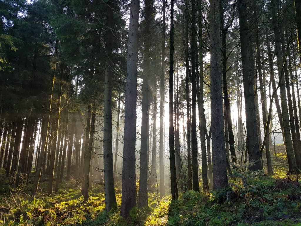 Field scene with Harkness equipment outdoors